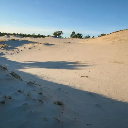 Lovely In With Wifi 別荘