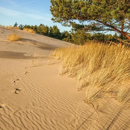 Сasa de vacaciones Lovely In With Wifi Wicko (Pomerania)