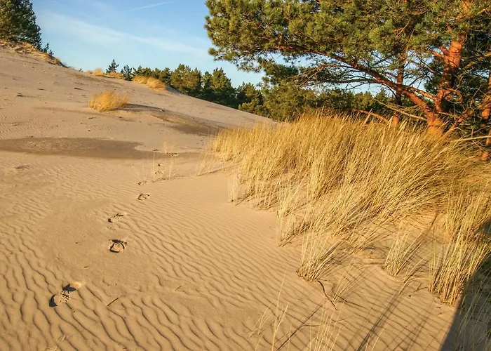 Tatil Evi Lovely In With Wifi Wicko (Pomerania)